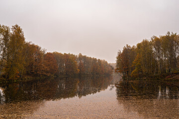 Autumn landscape with colorful trees reflected in calm lake on a misty day. Nature background for serenity and seasonal beauty.