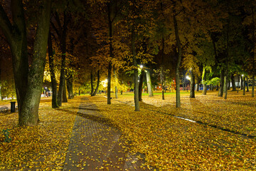 Empty park alley at night with fallen golden leaf and glowing street light. Autumn landscape with warm illumination for seasonal background.