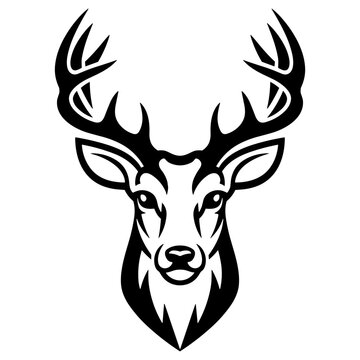 Cabe&ccedil;a de veado