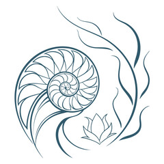 A delicate nautilus shell illustration with a blooming lotus flower design