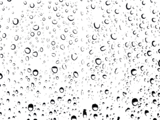 Abstract Background Of Water Droplets On A Clear Surface With A White Backdrop