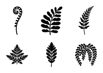 Obraz premium Fern leaf silhouettes. Collection of various leaves symbolizing nature and botany. Isolated on white.