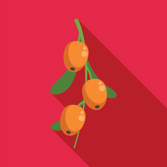 Sea buckthorn berries hanging from a branch against a solid red background
