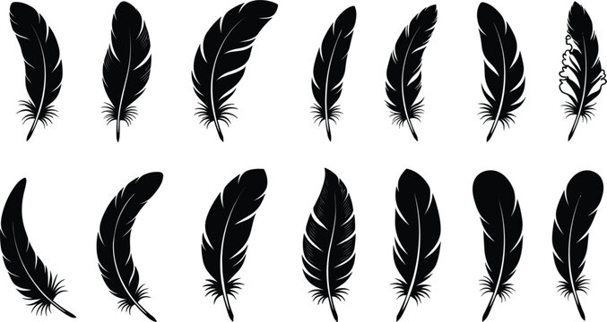 Elegant black feather silhouette vector collection featuring detailed quill shapes, decorative bird plumage and minimalist design elements