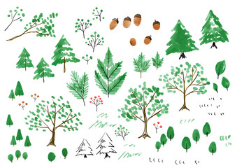 Illustrations of decorative winter plants and trees. Cute hand-drawn illustrations. Featuring berries, branches, leaves, and more.
