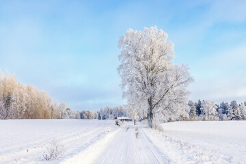 Snowy winter road with frosty trees on a cold winter day in the countryside