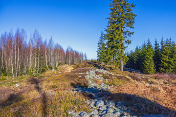 Stones after a hillfort ruin in a forest landscape