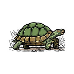 Obraz premium Detailed illustration of a terrestrial tortoise walking gracefully across dry ground with sparse vegetation
