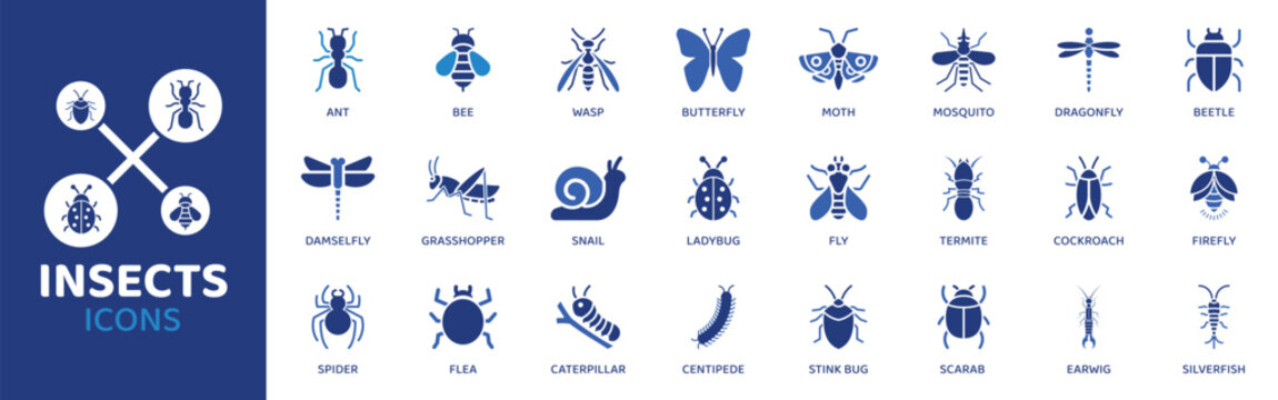 Insects flat icon set. Containing Icons as Ant, Bee, Butterfly, Mosquito, Dragonfly, Ladybug, Fly and more. Solid Vector web icons collection.