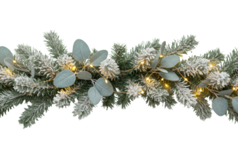 lavish, asymmetrical christmas garland with snowy pine and matte eucalyptus detailed in a macro shot, isolated on a white background with warm fairy lights, minimalist holiday festivity concept