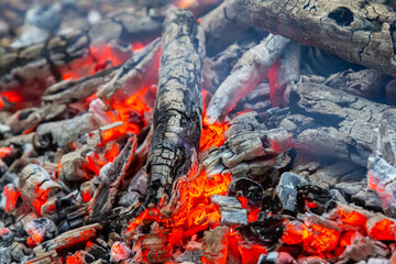 Flames glow beneath charred wood in a cozy campfire setting perfect for storytelling and warmth during a cool evening in nature