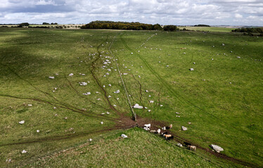 Naturally occurring Sarsen stones on Fyfield Down, Here between The Ridgeway and Valley of Stones. Probably source for Avebury and Stonehenge circles