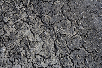 Dry and cracked earth surface showing signs of drought after a long period without rainfall in a rural area