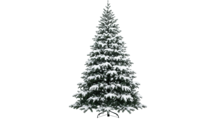Majestic fraser fir tree, fully covered in sharp pristine snow, isolated on a transparent high-key studio background with ultra-sharp focus, emphasizing crisp texture. Concept of idealized winter