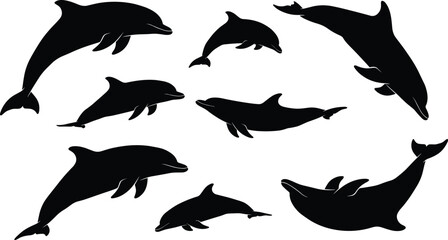 Set of Black Dolphin Silhouettes in Various Dynamic Poses for Ocean Life, Sea Animals, and Water World Design Elements Vector