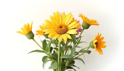 Naklejka premium Bright Yellow Sunflower Bouquet on White Background for Floral and Nature Themes