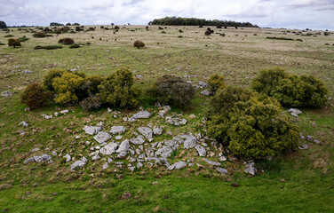 Naturally occurring Sarsen stones on Fyfield Down, Here between The Ridgeway and Valley of Stones. Probably source for Avebury and Stonehenge circles