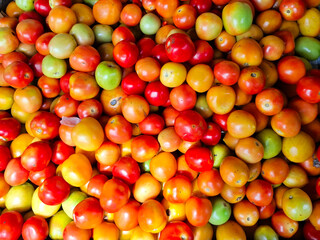 colorful tomatoes background