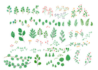 冬の植物の手書きイラストセット　緑、葉、木の実、冬