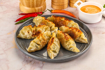 Japanese fried Gyoza stuffed dumplings
