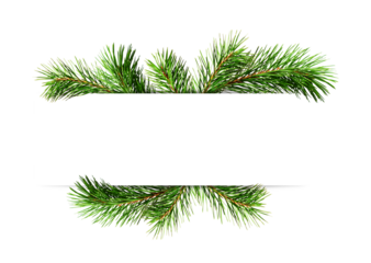 Decorative green twigs of Chrismas tree with empty space for text isolated on white or transparent background
