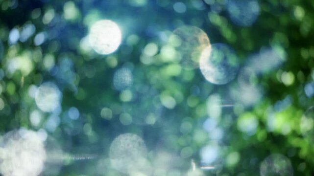夏の太陽の暑く強い日差し　木々の葉から差し込むさわやかな木漏れ日の光とキラキラの輝く明るい丸ボケと光芒　アウトドア・季節・夏休み・日焼け・バカンス・旅行・洗濯のイメージ背景