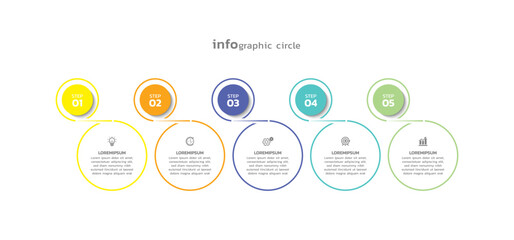 Vector infographic business template colorful design