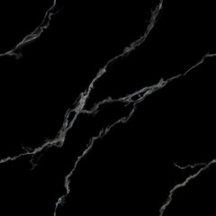 Elegant Black Marble Background with Striking White Veins