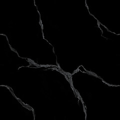 Elegant Black Marble Background with Striking White Veins