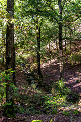 Fototapeta premium Beautiful landscape view from Ain Drahem forest, Tunisia