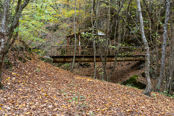 A Picturesque Autumn Forest with a Rusty Metal Bridge and a Dilapidated Cabin