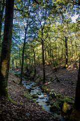 Naklejka premium Beautiful landscape view from Ain Drahem forest, Tunisia