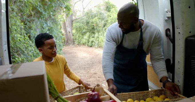 African American father and son after gesture, selecting lemons from crate, filling baskets by van