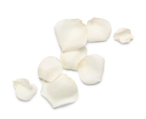 Heap of beautiful rose petals isolated on white background, closeup