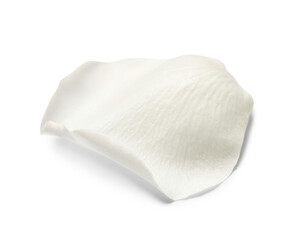 Beautiful rose petal isolated on white background, closeup