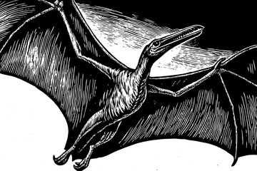 sketch of a pterodactyl in mid-flight with extended wings showing membrane texture and prehistoric avian form