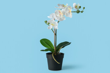 Artificial orchid flower on blue background