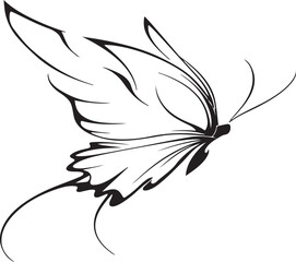 Elegant black and white illustration of a butterfly in flight © Kamrul Hasan 