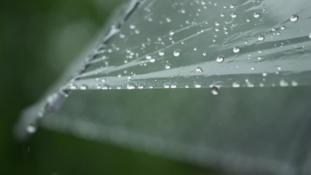 Raindrops on Green Leaf - Heavy Rain Nature Macro Photography
