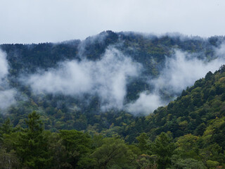 秋の観光名所上高地の森と穂高連峰の霧の風景