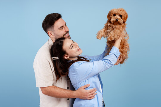 Happy couple holding and playing with their cute cavapoochon dog against blue background