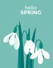Bouquet of spring flowers snowdrops. Greeting card or floral poster Hello spring with delicate white flowers. Vector template greeting card for Snowdrop day, Easter, Womens Day, birthday, Mother's Day
