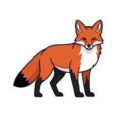 Fototapeta premium Cartoon illustration of a red fox standing