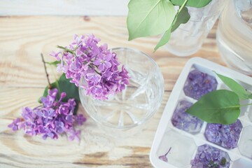  Lilac flowers, ice cubes and a glass of water on a light background and lilac flowers in a vase