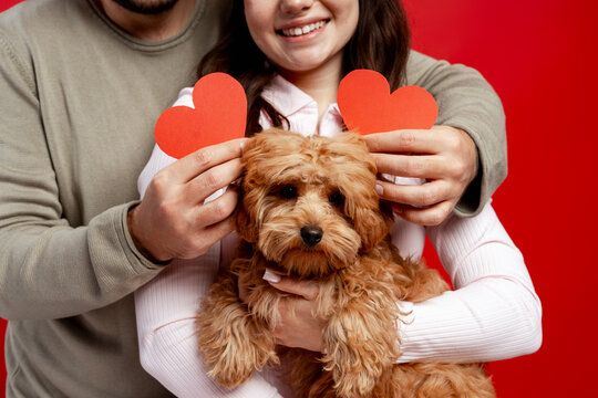 Couple and lovely puppy with red hearts celebrating Valentine's Day