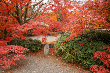 岩倉の実相院の紅葉