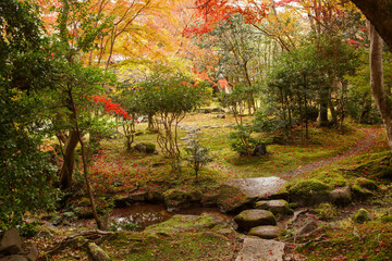 上高野の紅葉寺