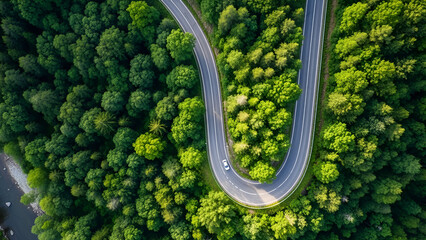 Aerial view of curved road through lush forest, serene nature landscape
