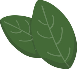 Two Green Spinach Leaves