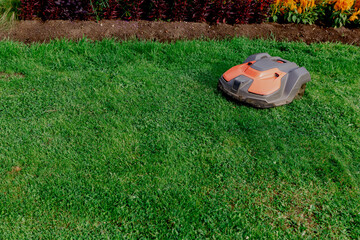 Robotic Lawn Mower on Green Grass
